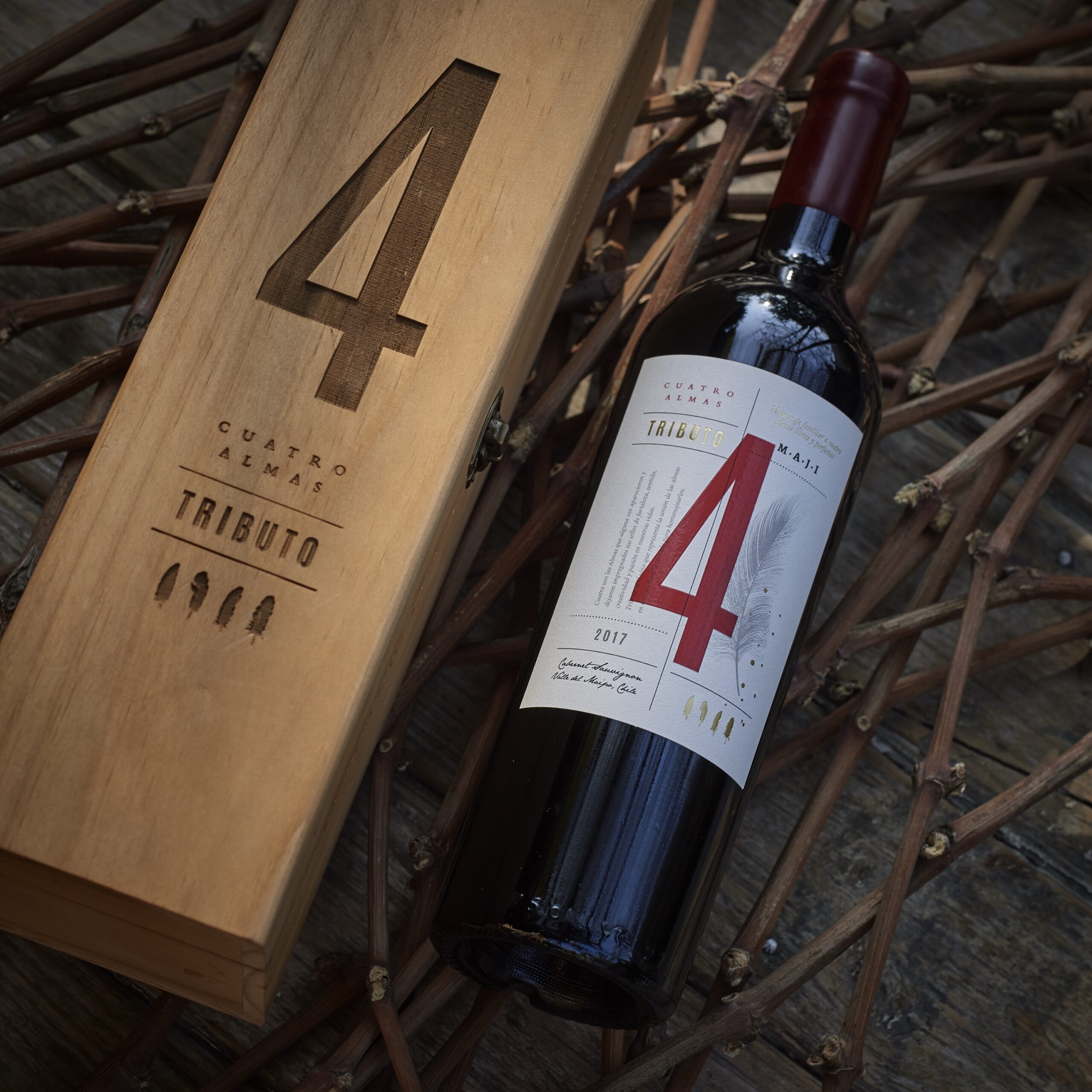 CUATRO ALMAS TRIBUTO® 2020: Cabernet Sauvignon Ícono de Maipo Andes - Imagen 3