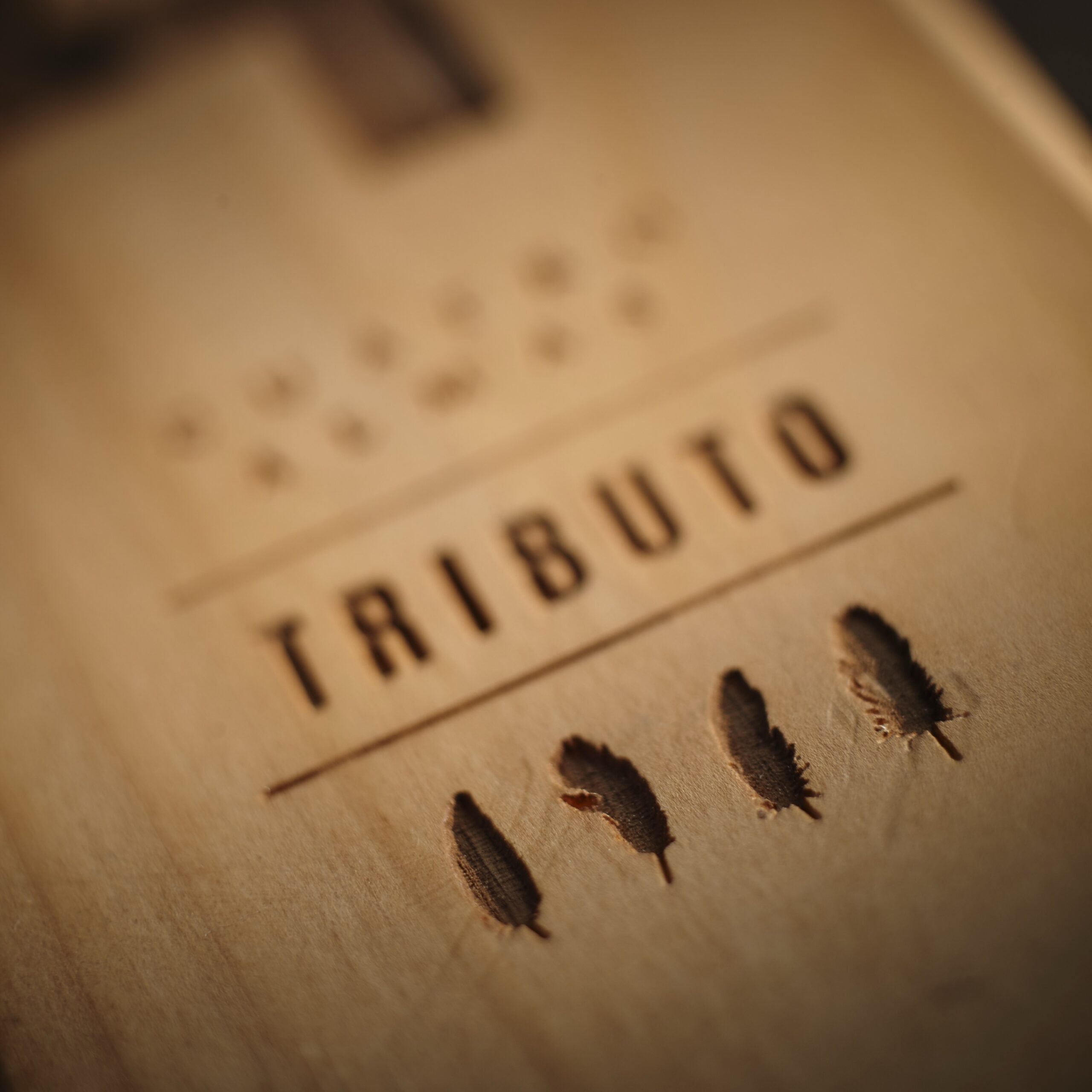 CUATRO ALMAS TRIBUTO® 2020: Cabernet Sauvignon Ícono de Maipo Andes - Imagen 2