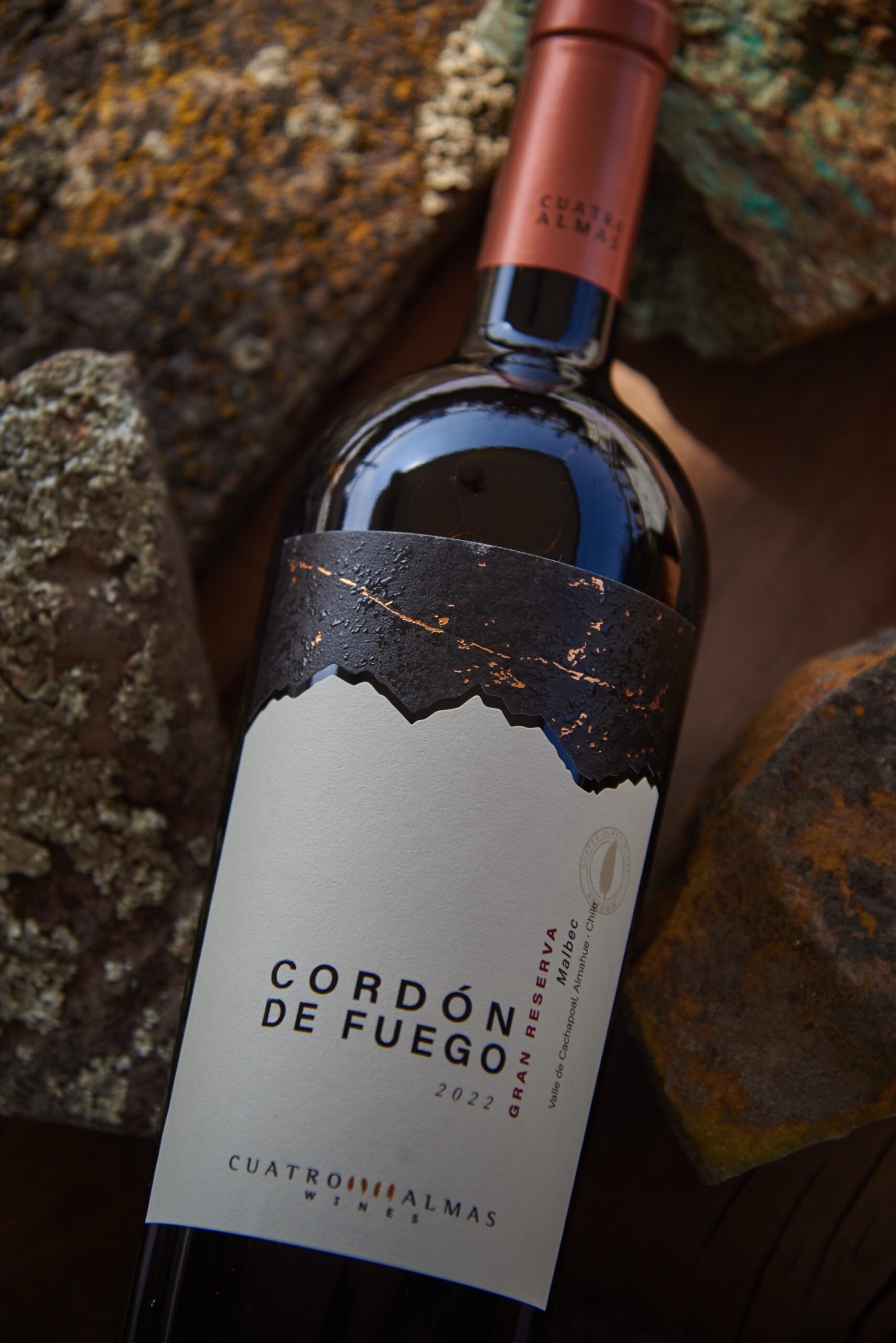 Pack x6 Cordón de Fuego Malbec Gran Reserva - Imagen 3