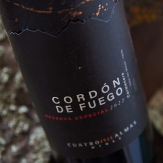 Alternative view of Pack x6 Cordón de Fuego Carmenere Reserva Especial
