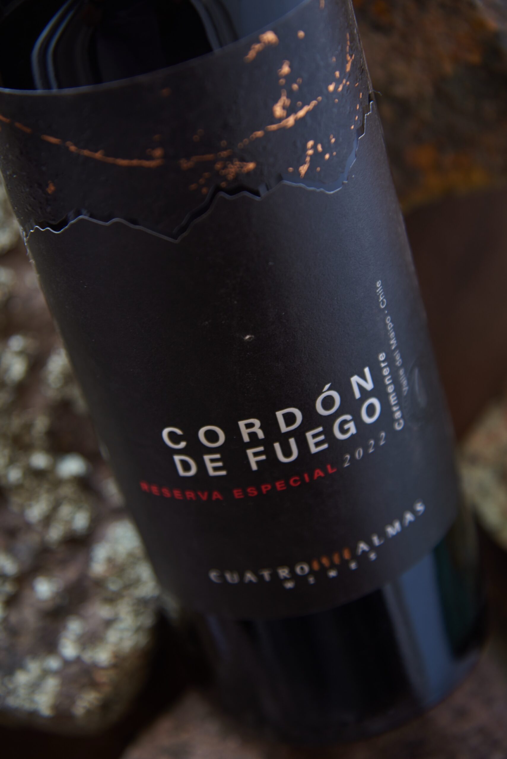 Pack x6 Cordón de Fuego Carmenere Reserva Especial - Imagen 2