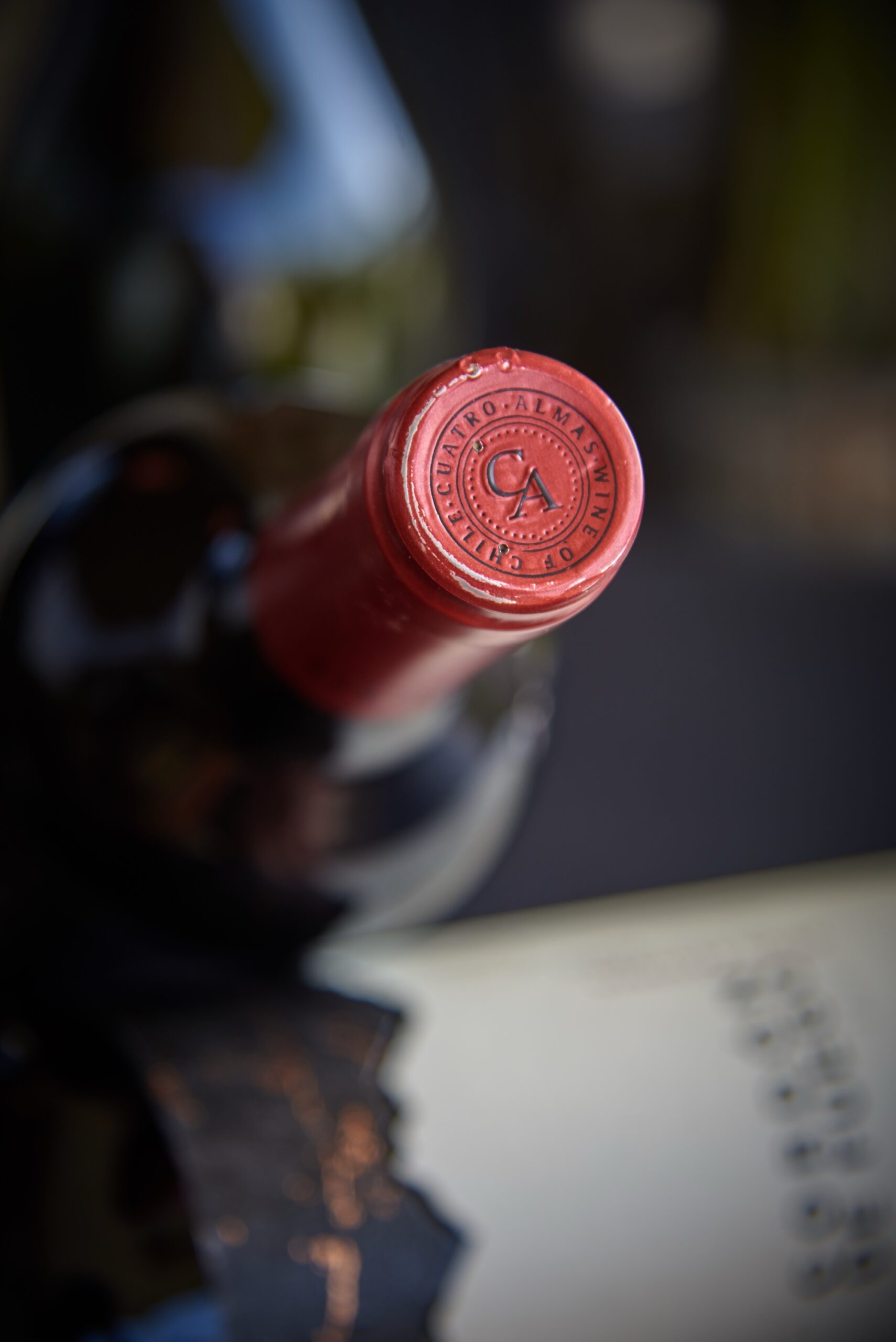 Pack x6 Cordón de Fuego Cabernet Sauvignon Reserva Especial - Imagen 3