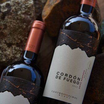 Alternative view of Colección Esencial Cordón de Fuego GR: Cabernet, Carmenere, Malbec (6 Botellas)