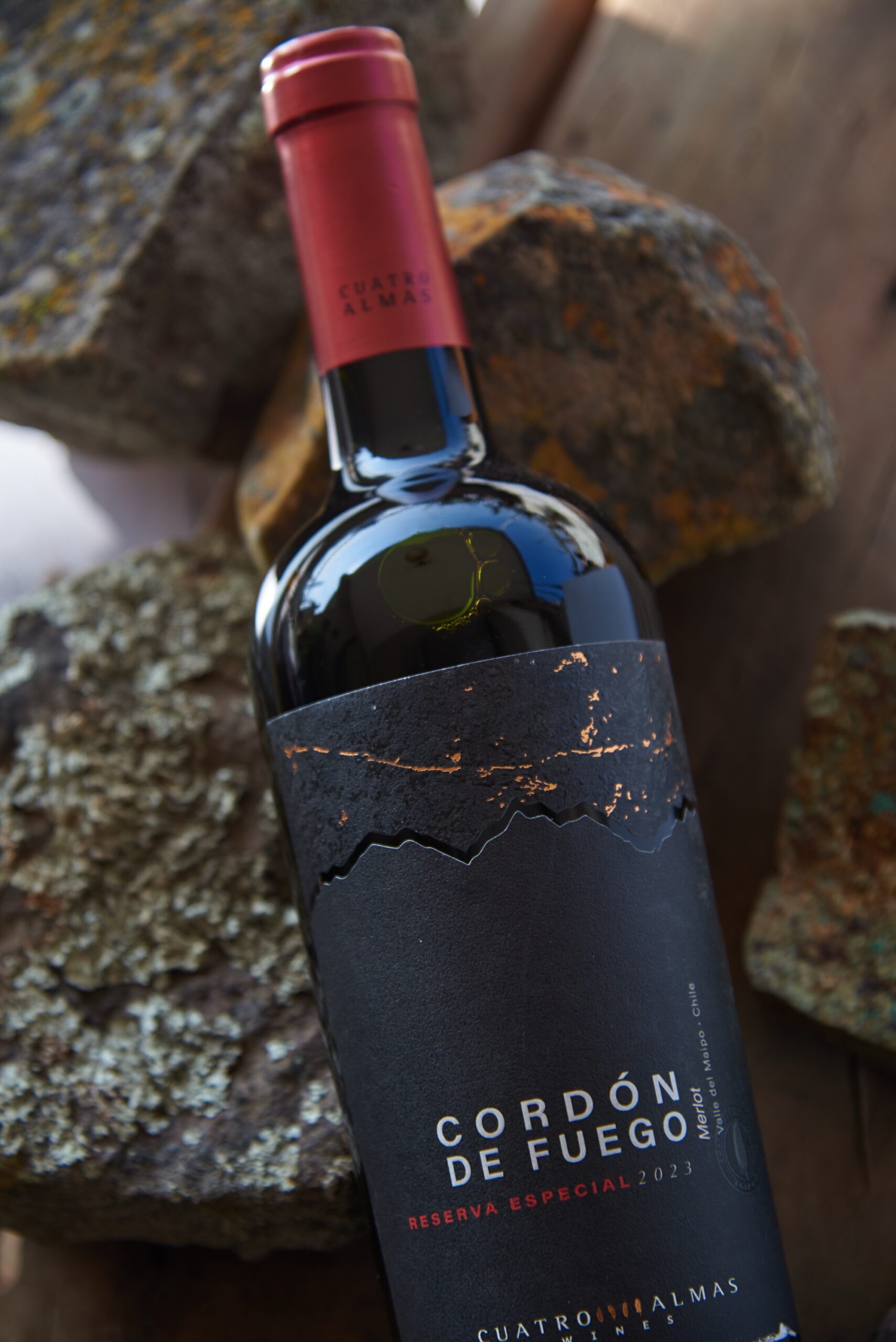 Pack x6 Cordón de Fuego Merlot Reserva Especial - Imagen 3