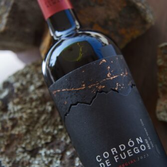 Alternative view of Pack x6 Cordón de Fuego Merlot Reserva Especial