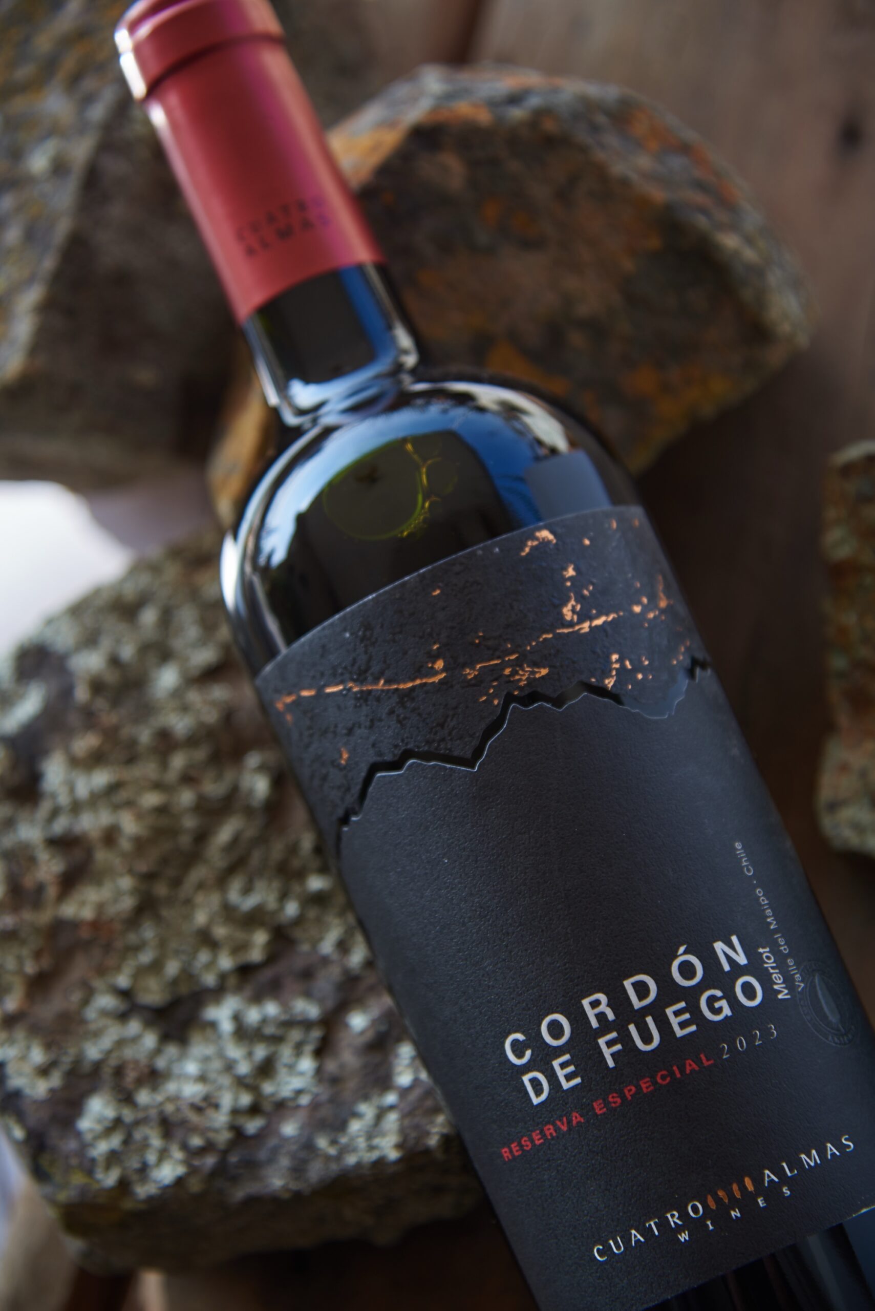 Pack x6 Cordón de Fuego Merlot Reserva Especial - Imagen 2